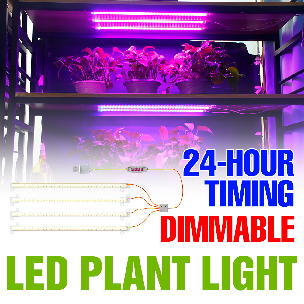 LED Indoor Plant Light Bar USB - огляд і ціна Echeveria Succulent