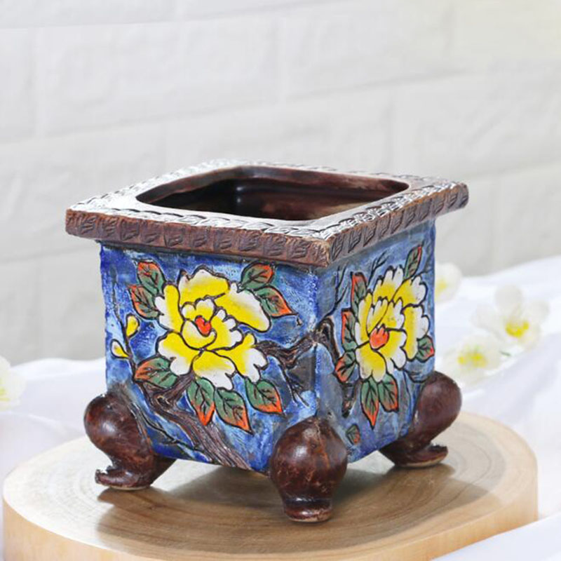 Korean Style Handpainted Flora - огляд і ціна Echeveria Succulent