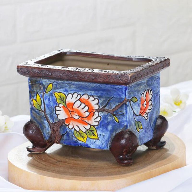 Korean Style Handpainted Flora - огляд і ціна Echeveria Succulent
