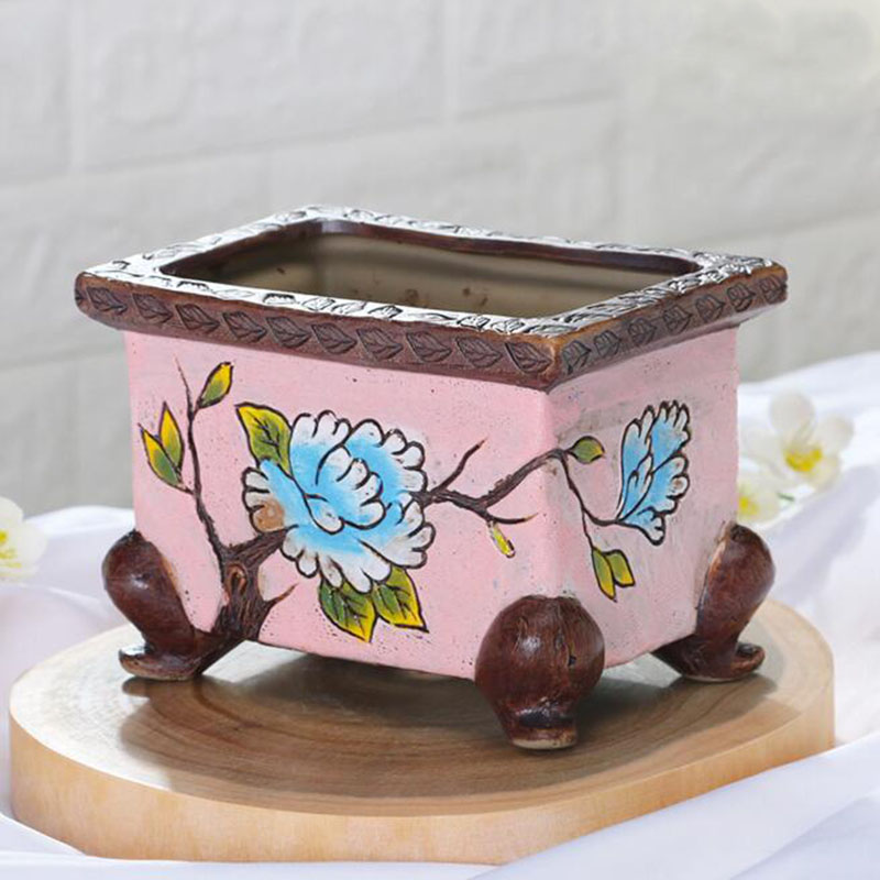 Korean Style Handpainted Flora - огляд і ціна Echeveria Succulent