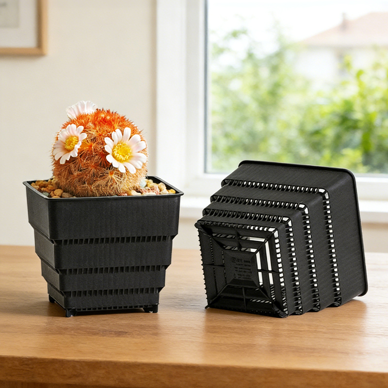 MESHPOT 6-Pack Square Pots for - огляд і ціна Echeveria Succulent