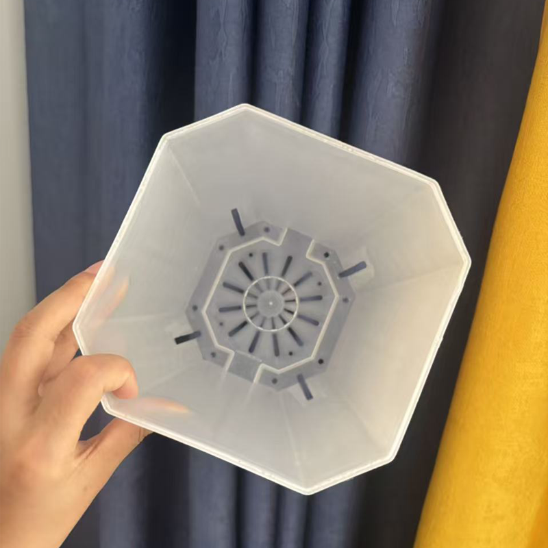 5PCS Transparent Flowerpot 15c - огляд і ціна Echeveria Succulent