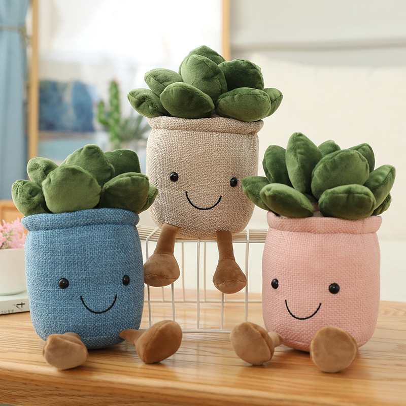 @@Lifelike Tulip Succulent Pla - огляд і ціна Echeveria Succulent