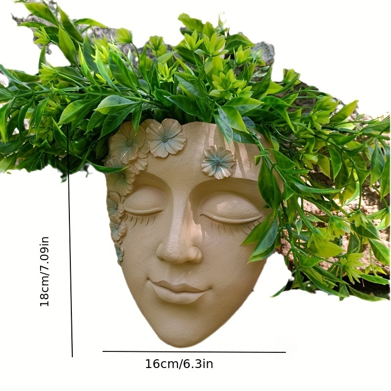 Creative Wall Mounted Facial F - огляд і ціна Echeveria Succulent