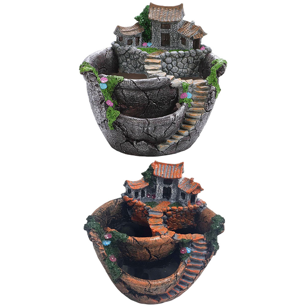 Succulent Pot Vintage Multi Po - огляд і ціна Echeveria Succulent