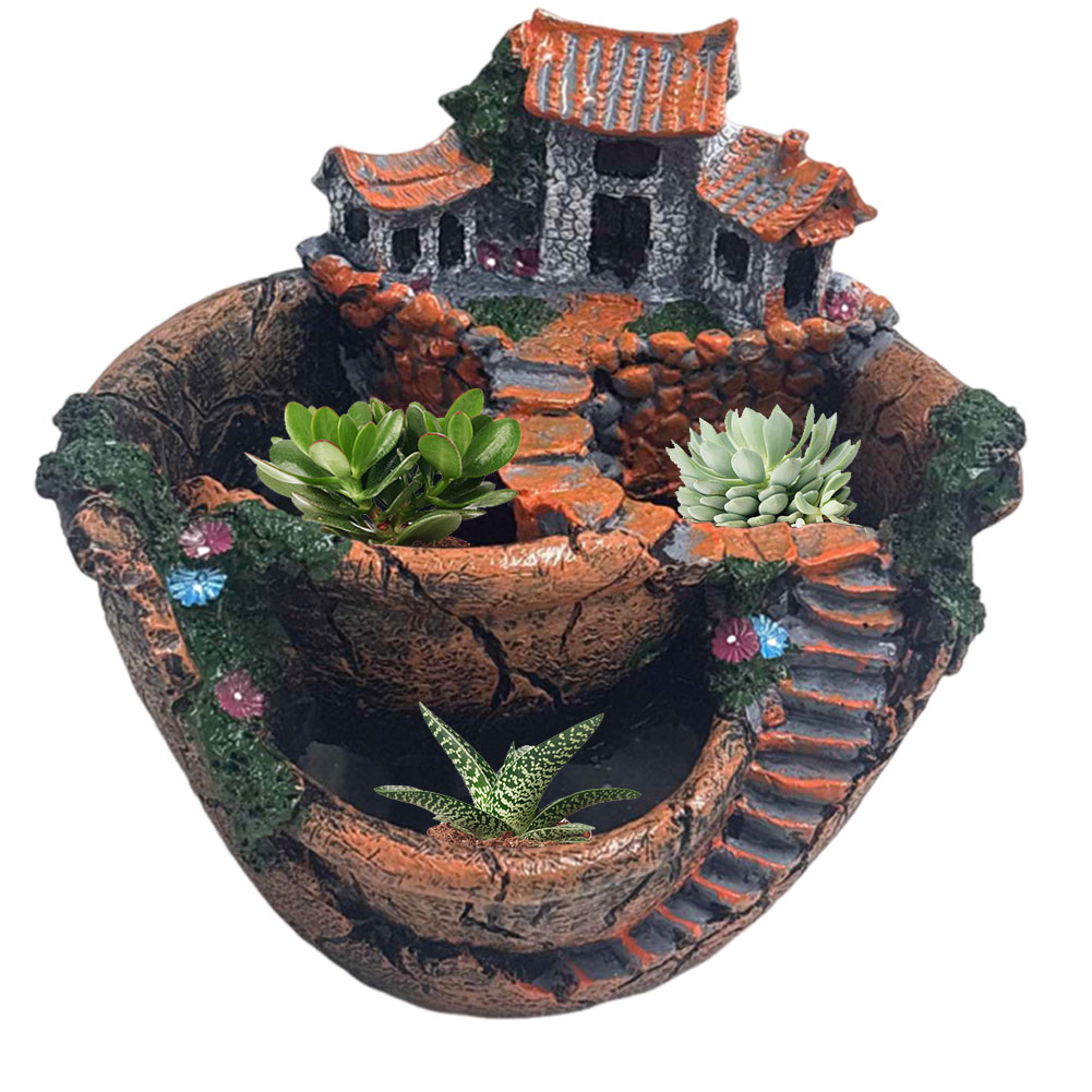 Succulent Pot Vintage Multi Po - огляд і ціна Echeveria Succulent
